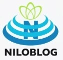 فاین تذهبون